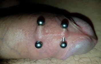  Intim piercings Penis unterseite eingetragen auf intimgalerie_de